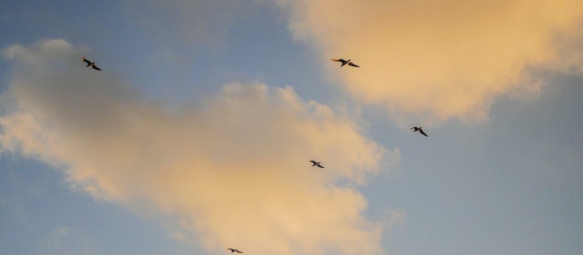 Cielo azul con nubes naranjas